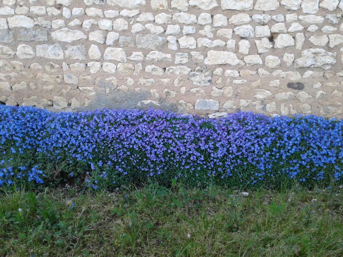 הוילה Agudelle Fleur Du Soleil מראה חיצוני תמונה